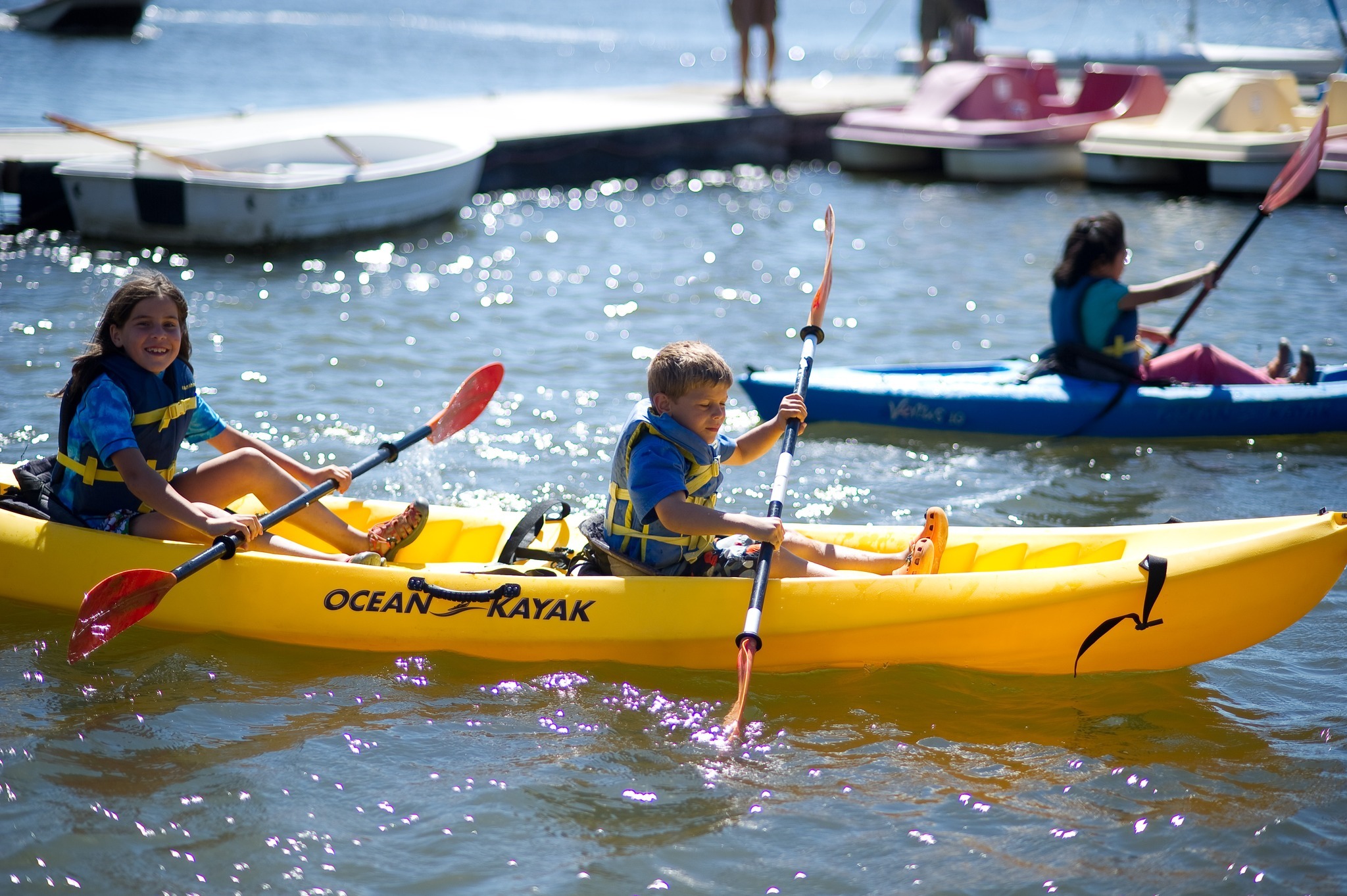 Shoreline Windsurfing And Sailing Camp