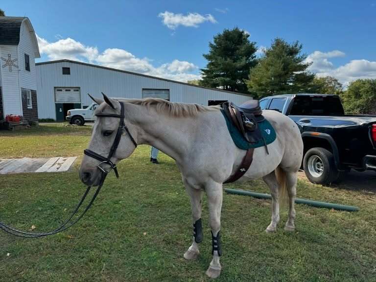 SJ Riding Camp photo 1