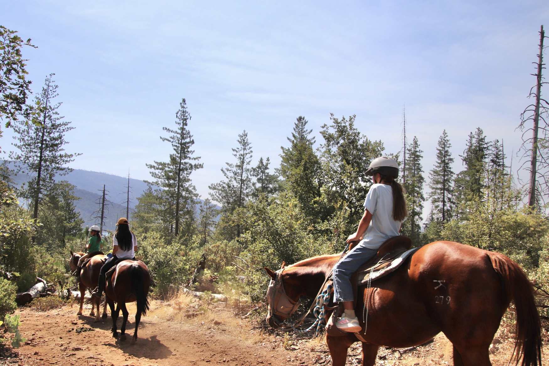 Skylake Yosemite Camp