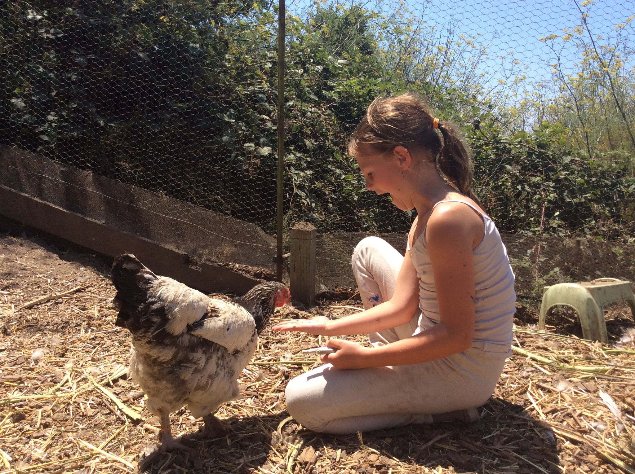 Camp Discovery photo 1