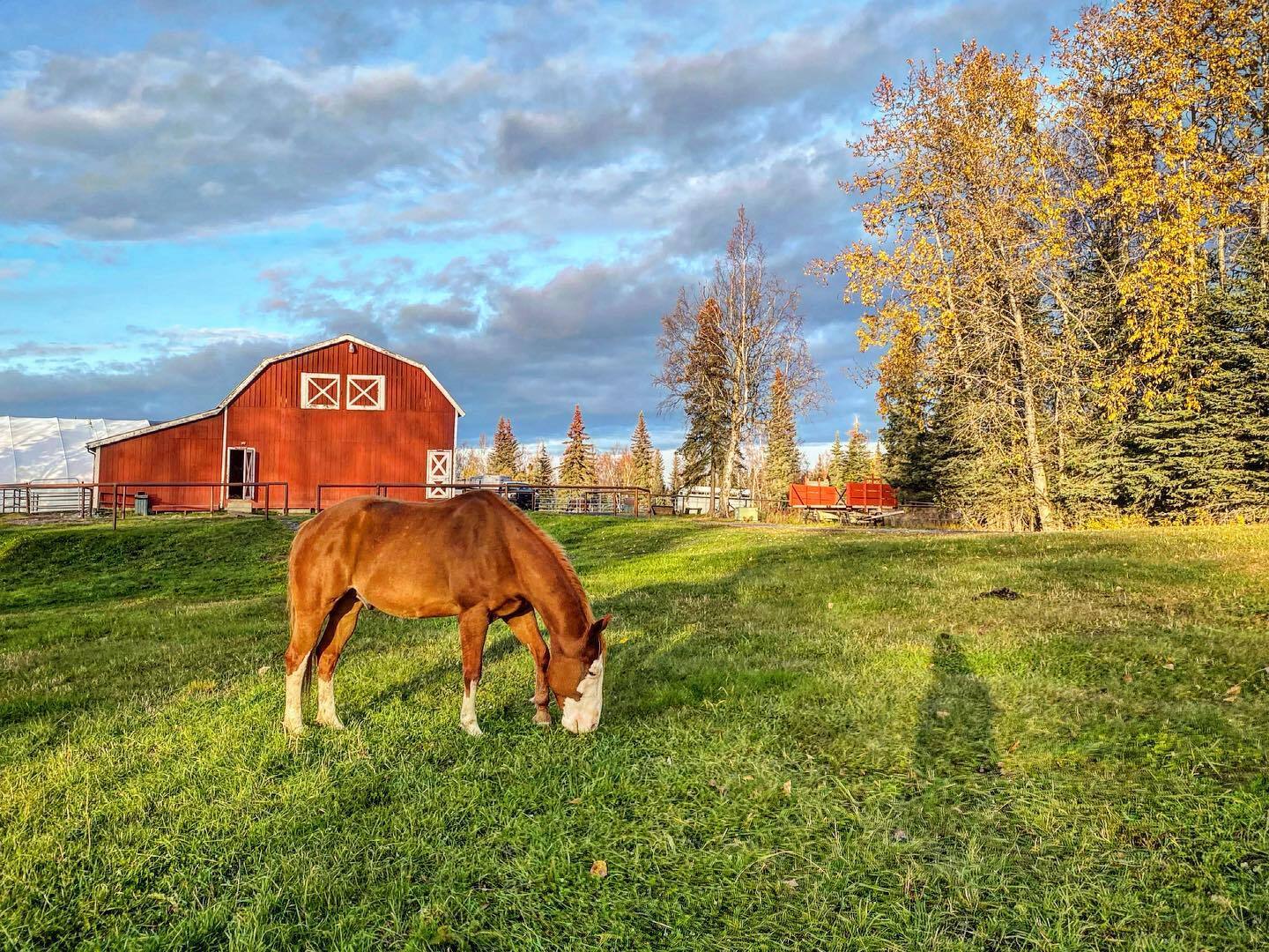 Bold Earth Teen Adventures - Alaska photo 1