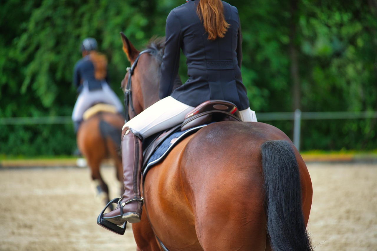 Spring Down Horsemanship Camps