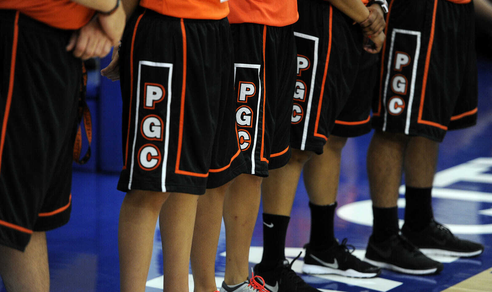 Springfield College Basketball Camp photo 1