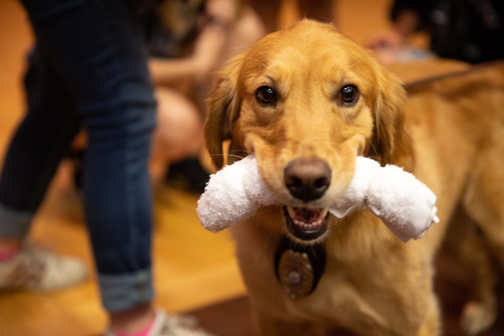 MLC STEM Summer Camp photo 1