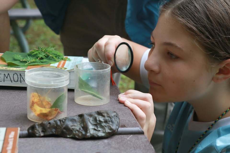 Summer Camp In The Smokies
