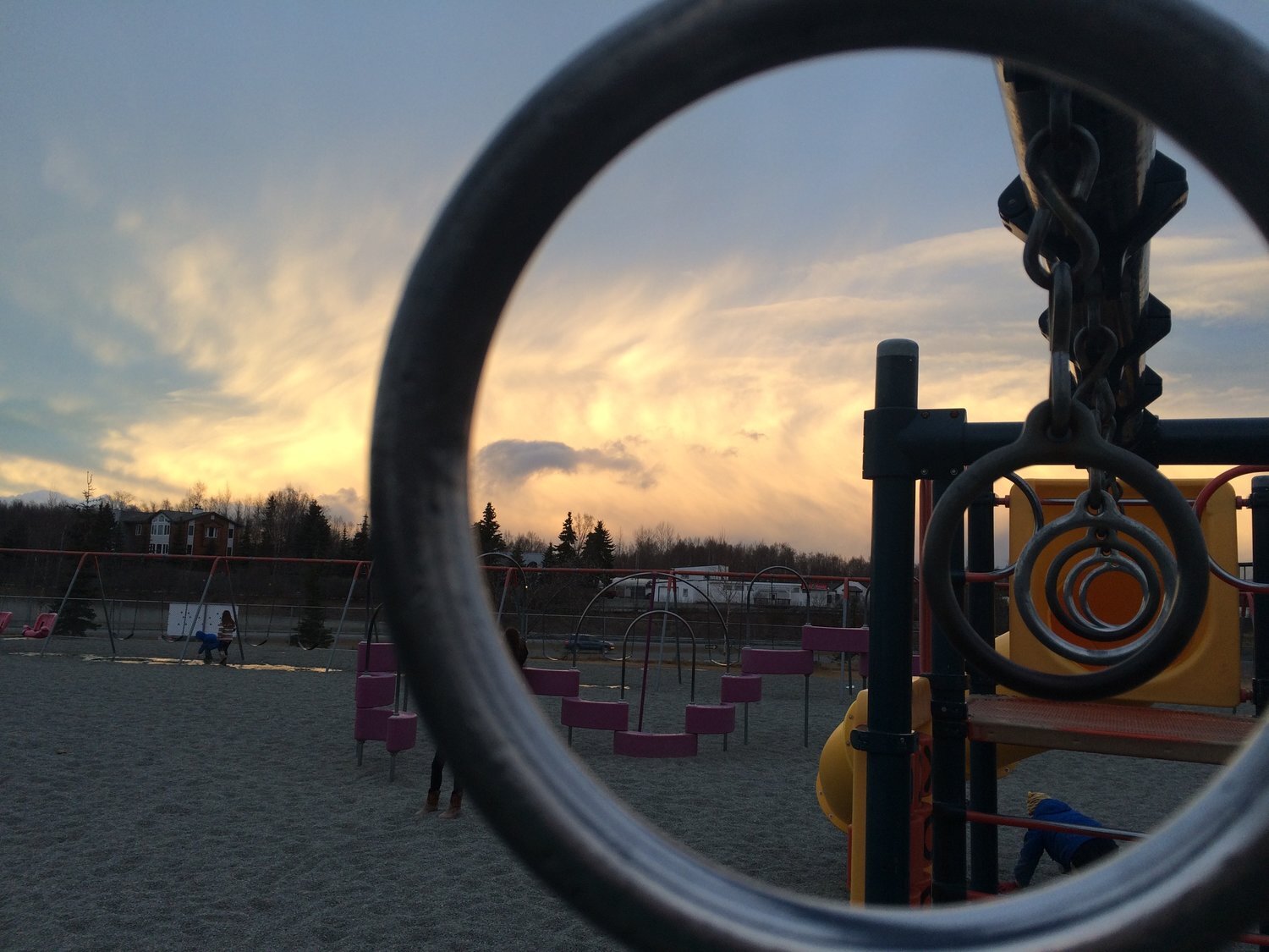 Alaska Strings Camps photo 1