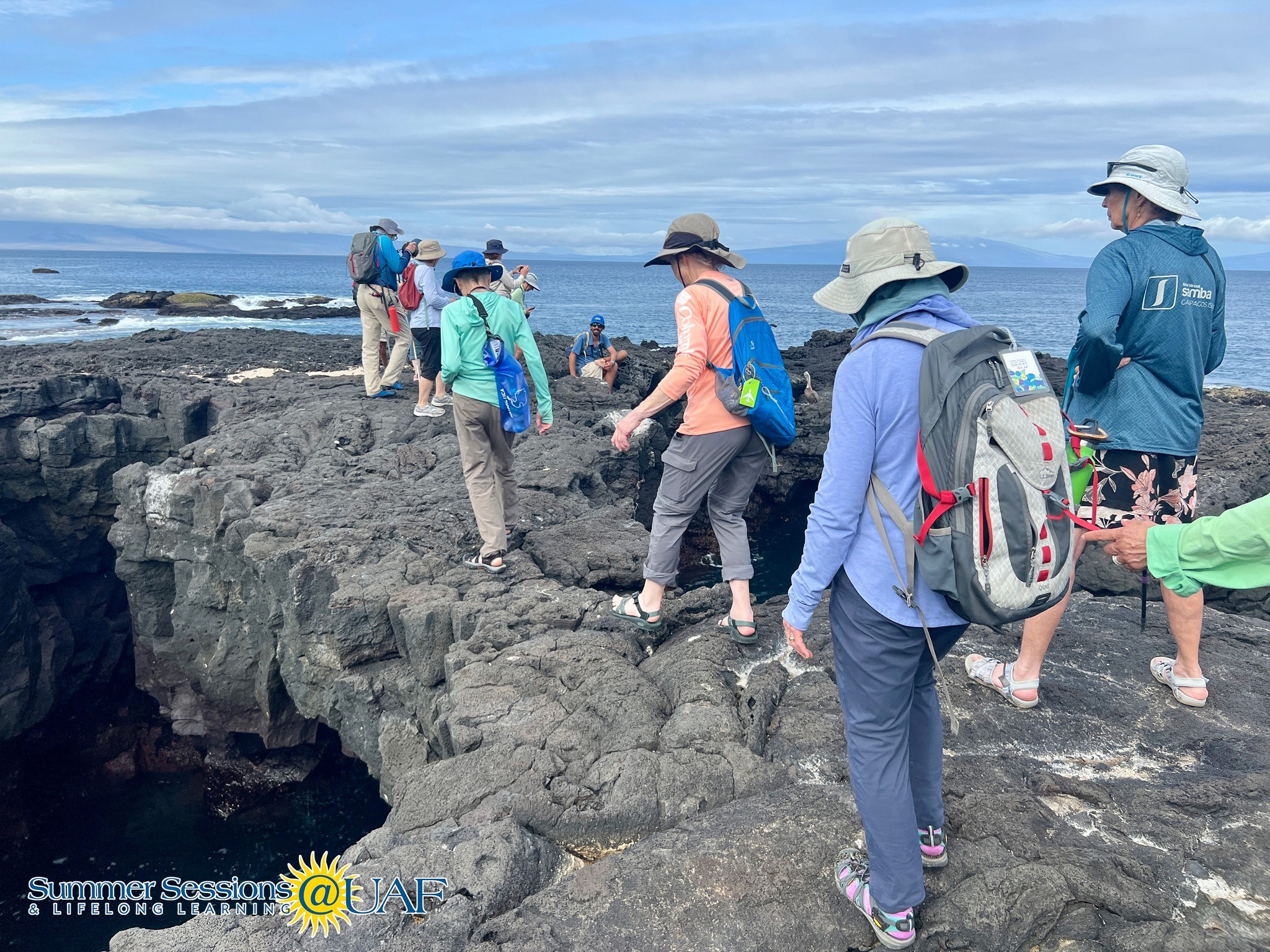 Summer sessions and lifelong learning