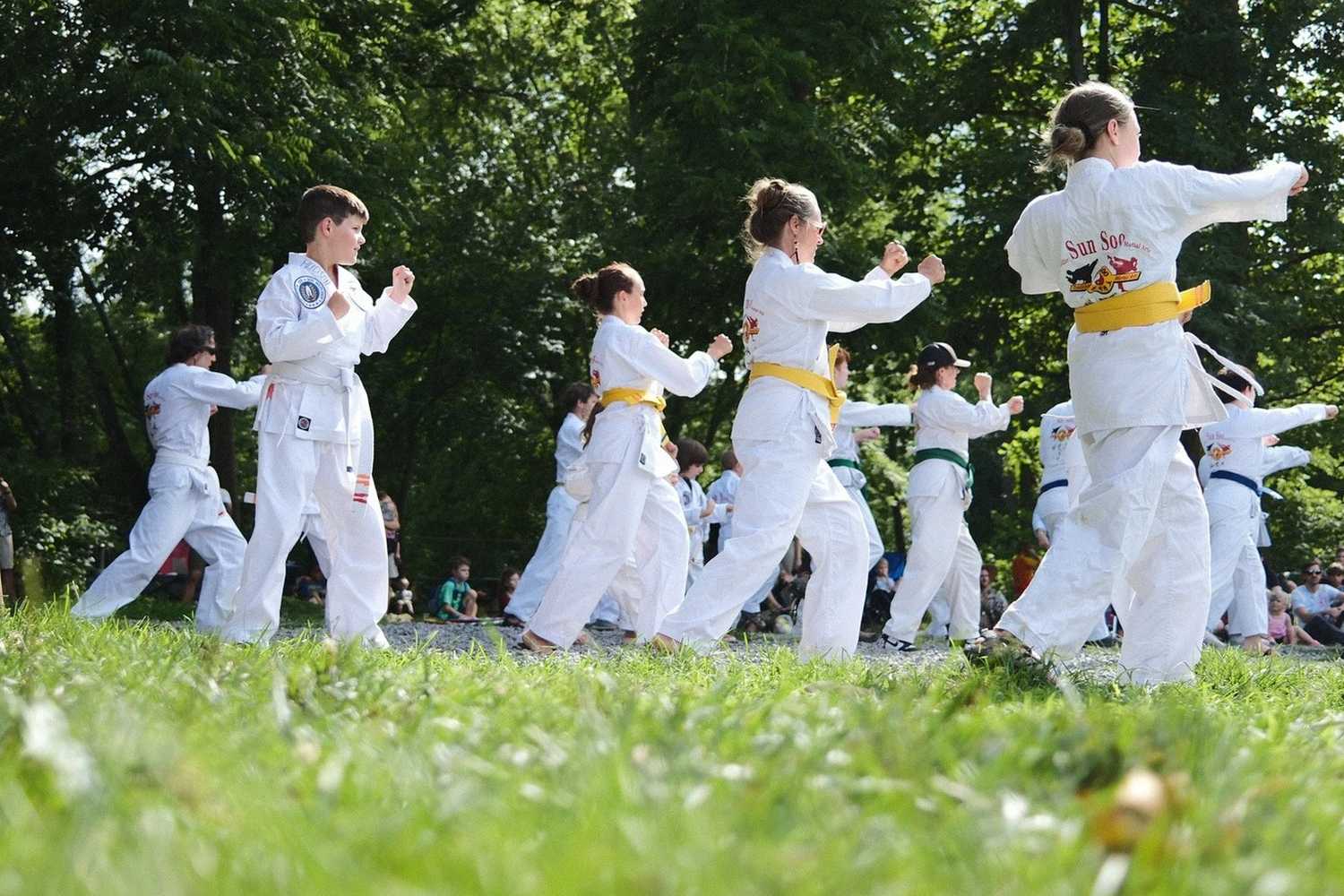 Sun Soo Martial Arts Summer Camp