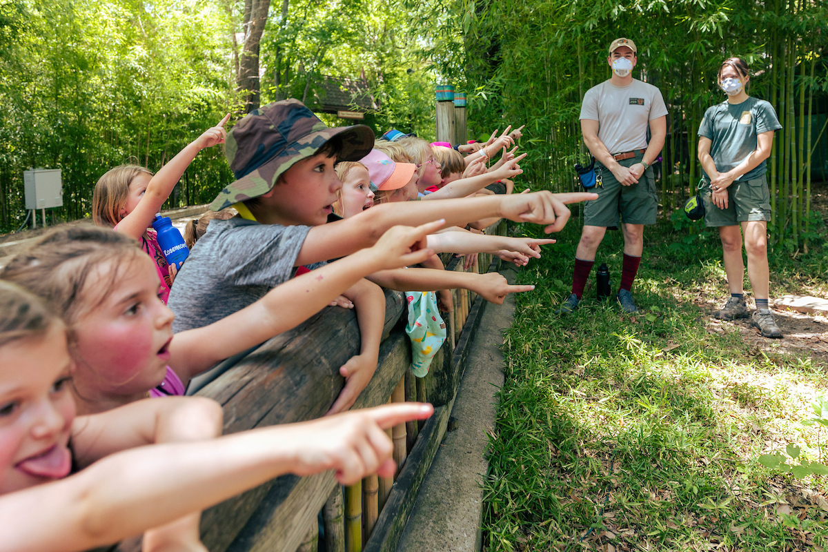 Junior Zoologist Camp photo 1