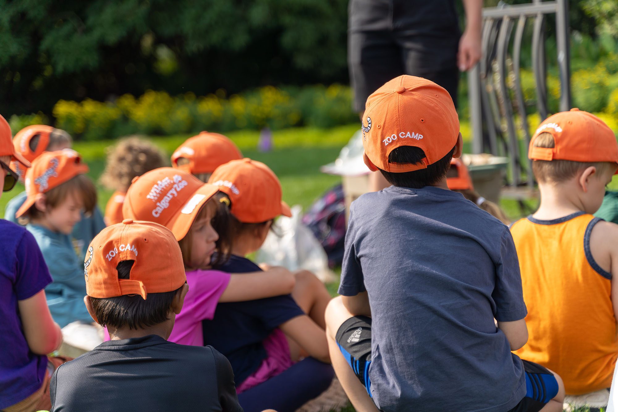 Sunset Zoo Summer Camp