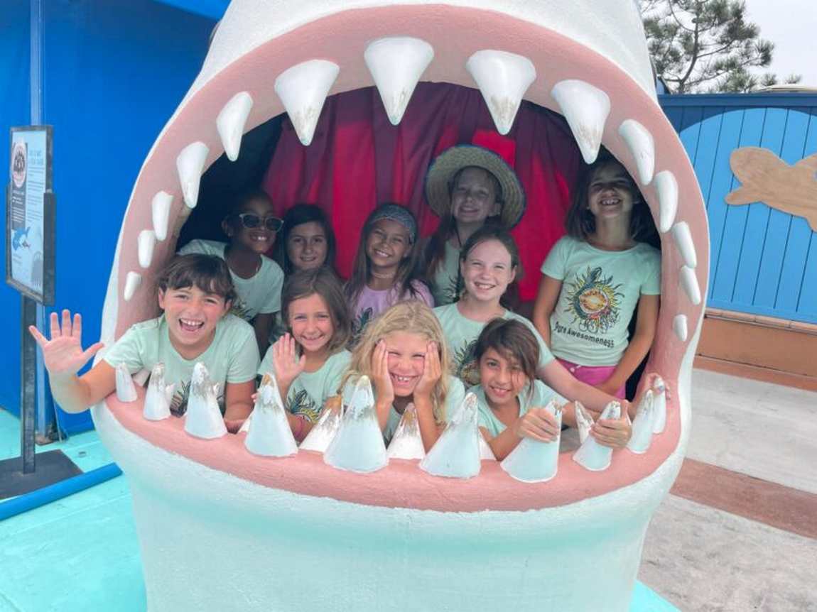 Sunshine Mermaids Summer Camps photo 1
