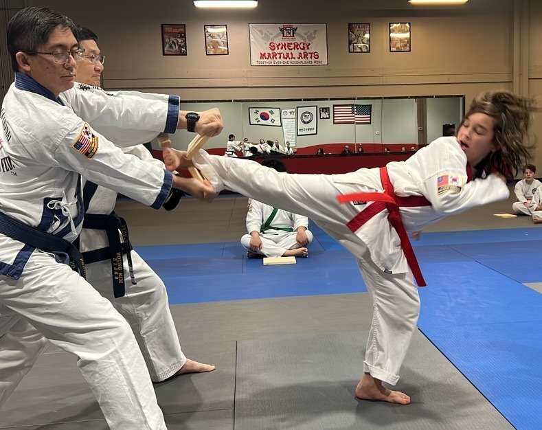 Synergy Martial Arts Inc photo 1