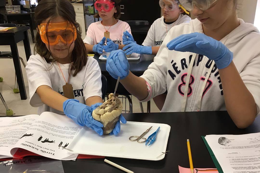 Terrific Scientific Summer Day Camps
