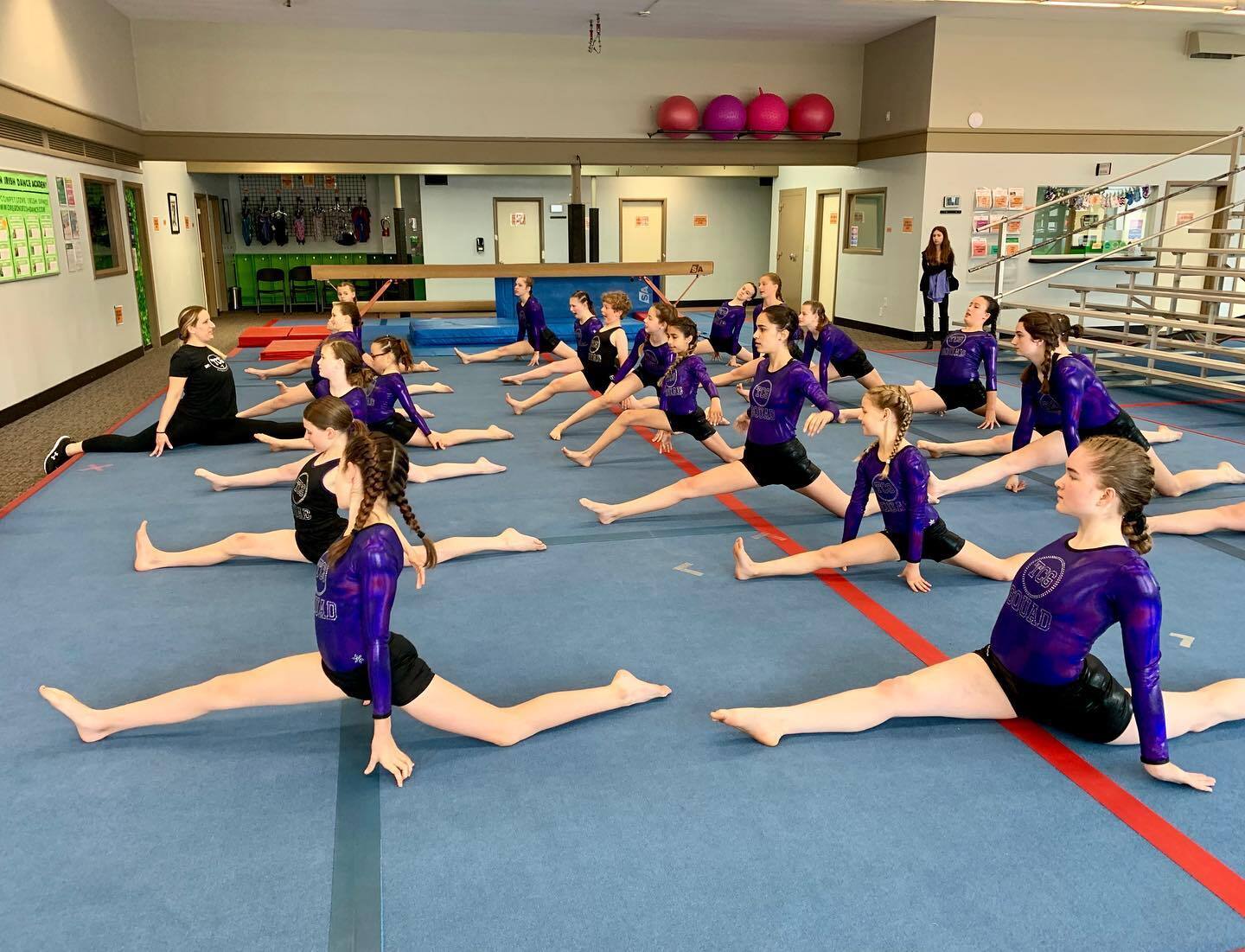 The Childrens Gym Summer Camp photo 1