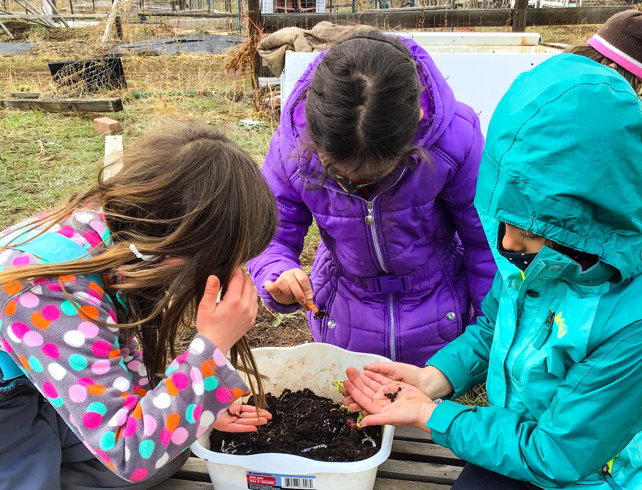 Quaker Ridge Camp Conference Center photo 1