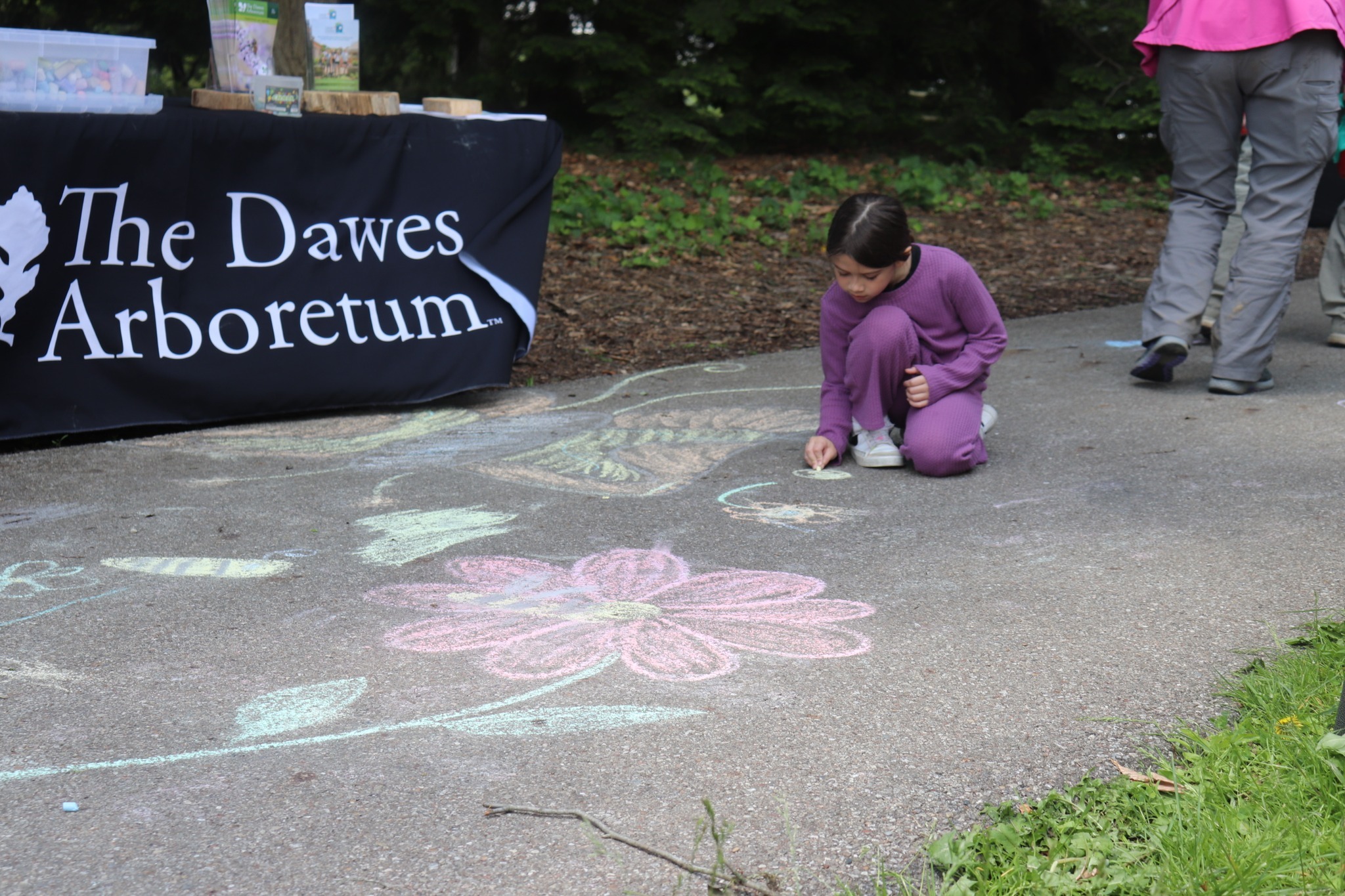 The Dawes Arboretum Summer Program photo 1