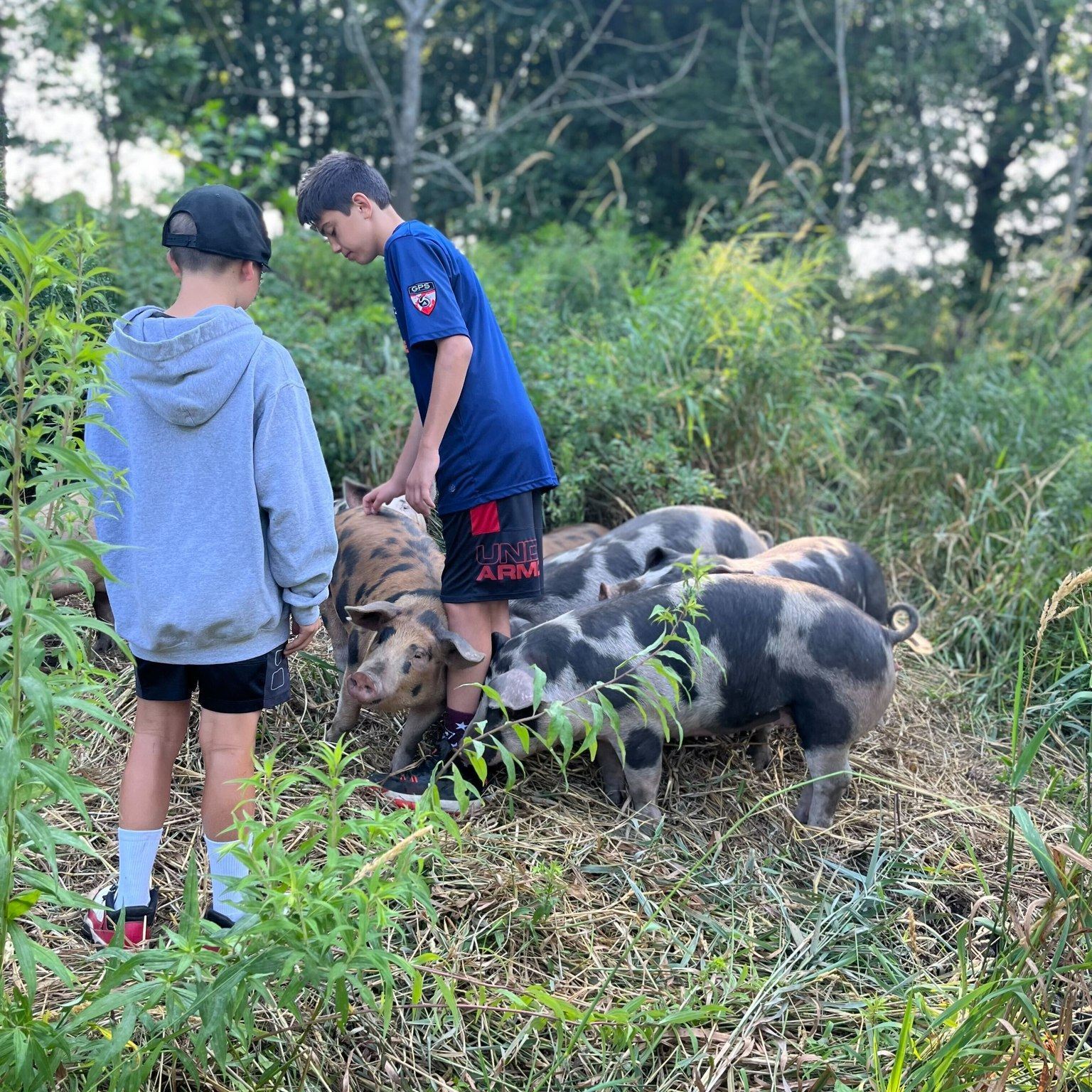 The Farm School photo 1