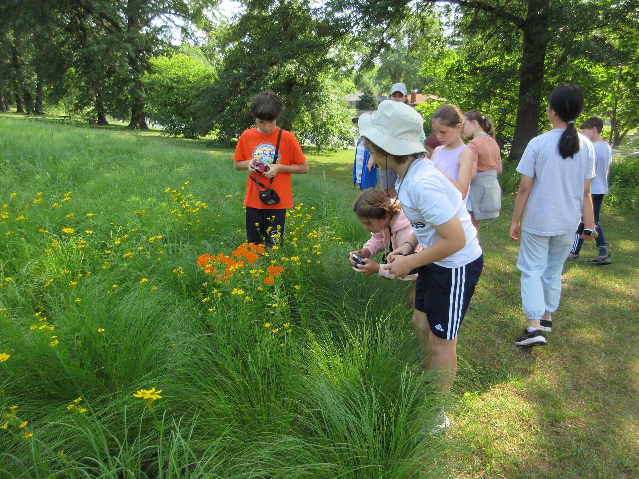 The Green Center Summer Camp