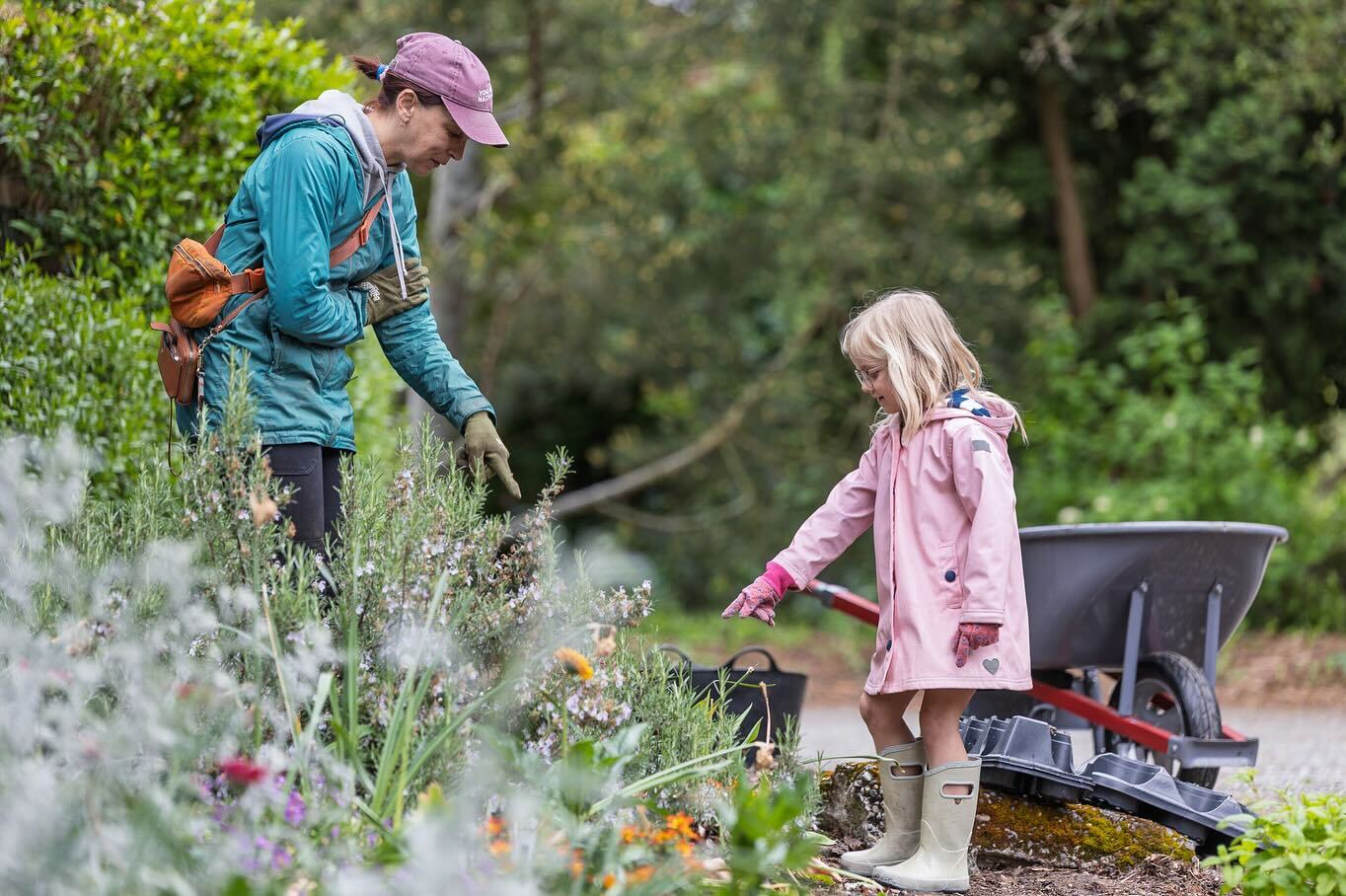 The Meridian School Summer Camp photo 1