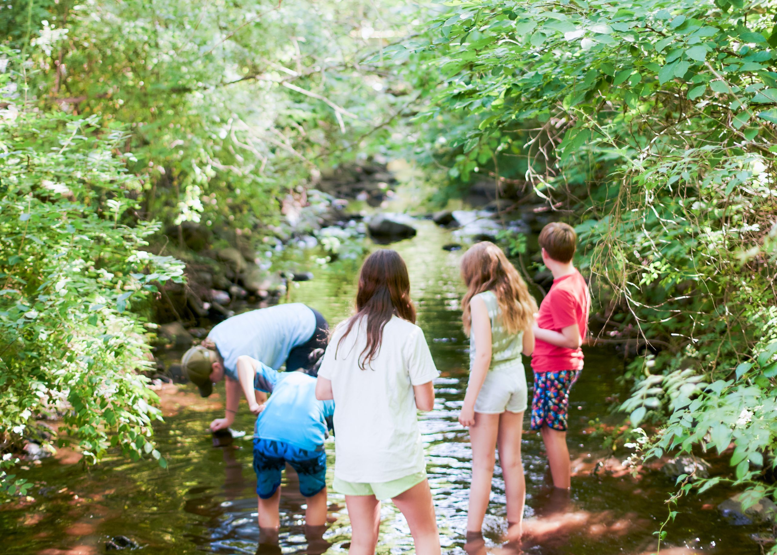 Forest Lake Camp For Boys Summer photo 1