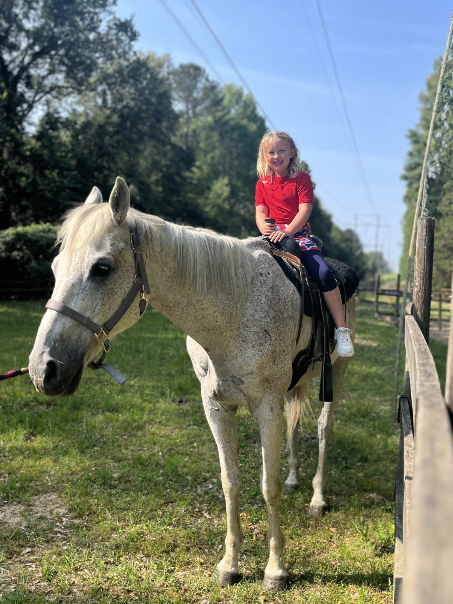 The Ranch Madison Summer Camps photo 1