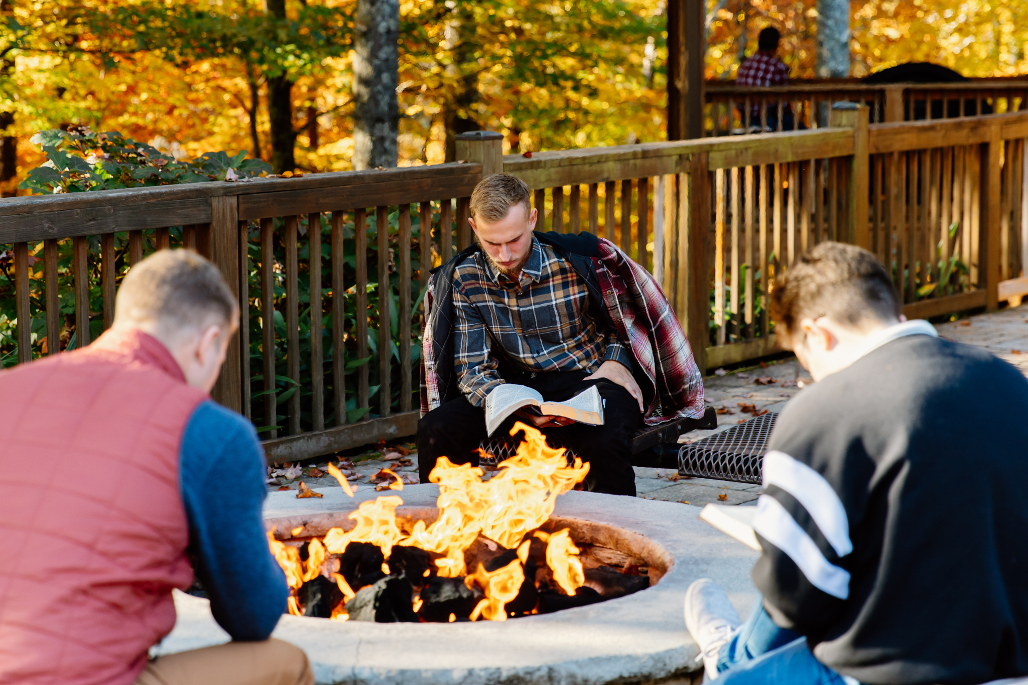 The Wilds, in Brevard, North Carolina photo 1