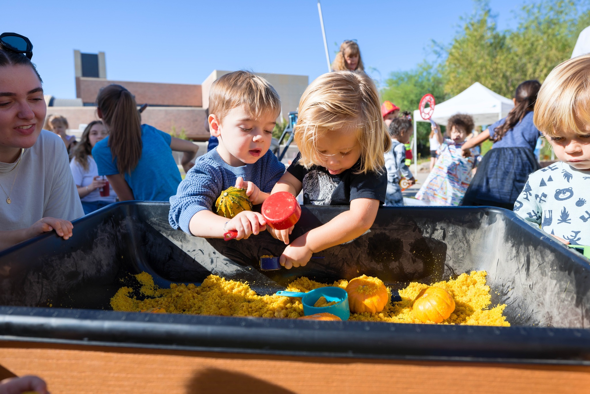 Theatre Camp - Edna Arts