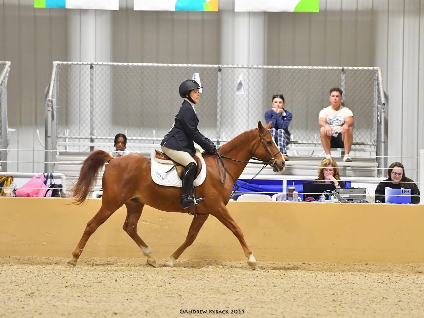 Thomas School Of Horsemanship Day Camp