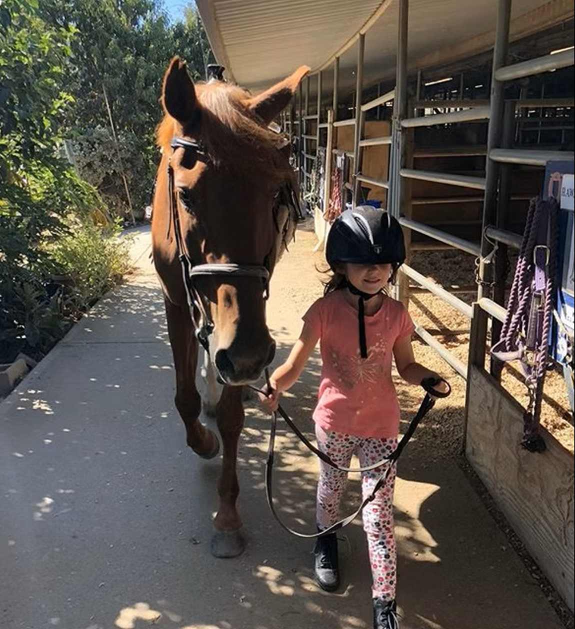 Traditional Equitation School Camp photo 1