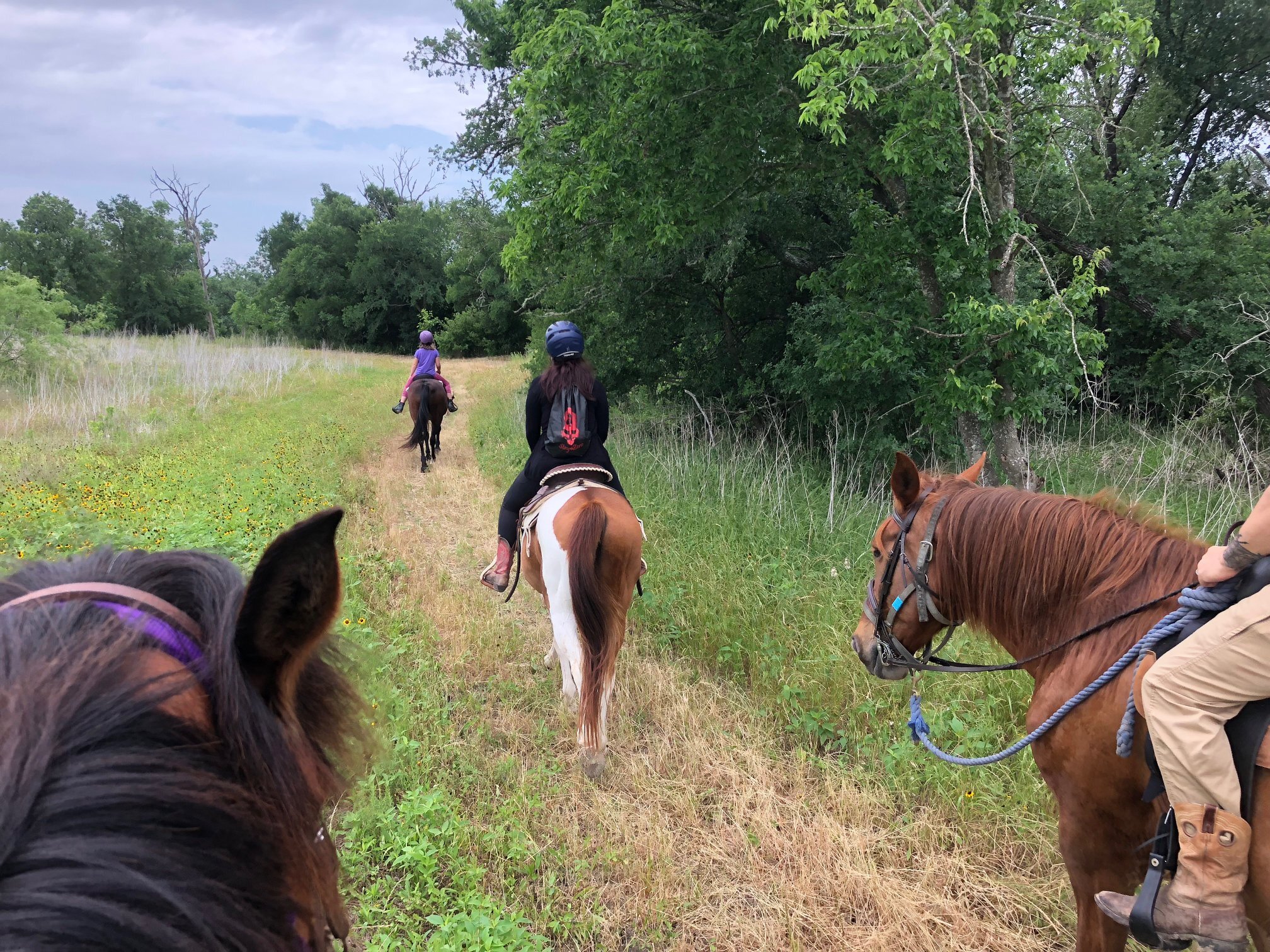 Tri Star Farms Summer Camp photo 1