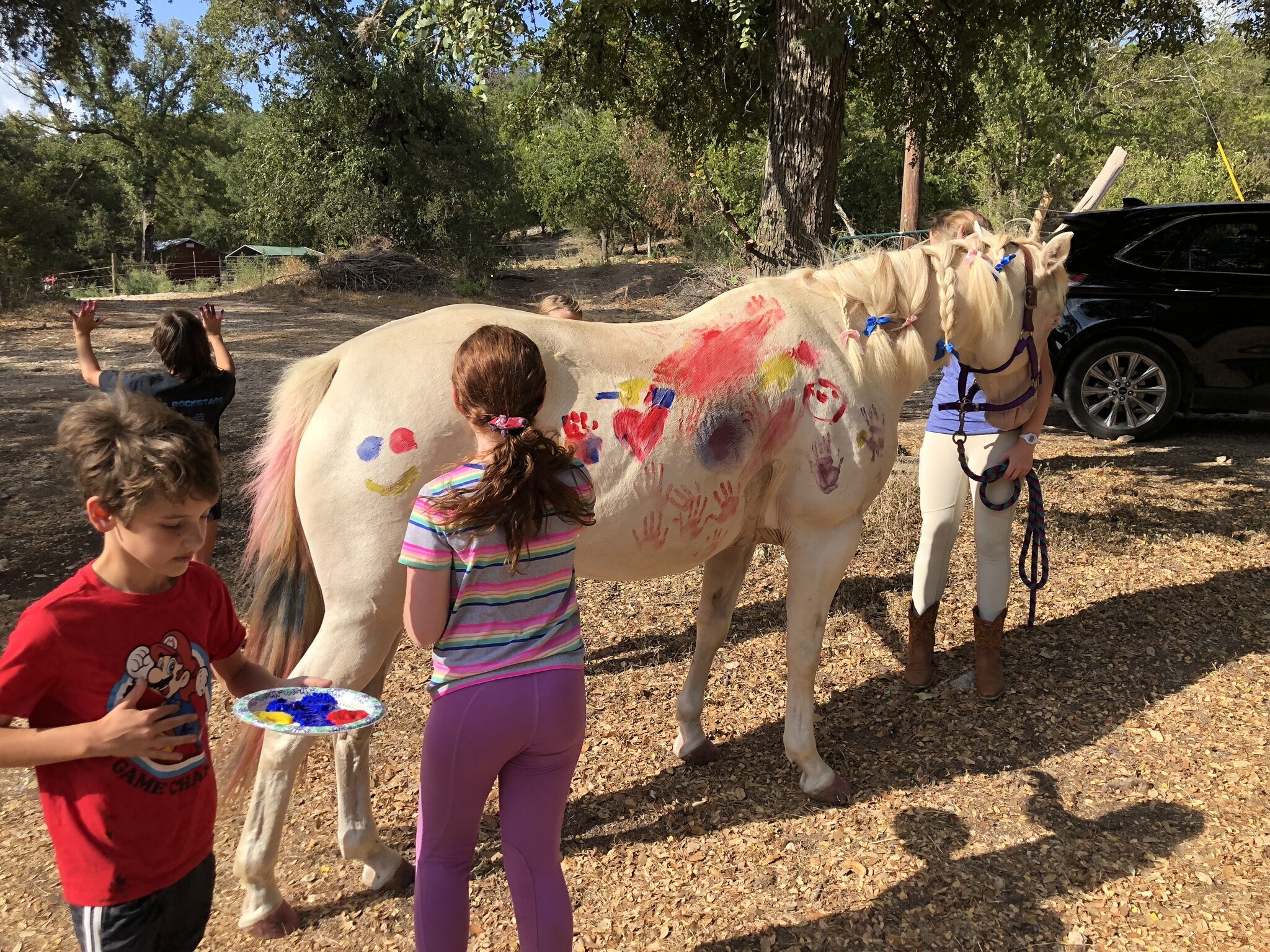 Tri Star Farm's Summer Camp