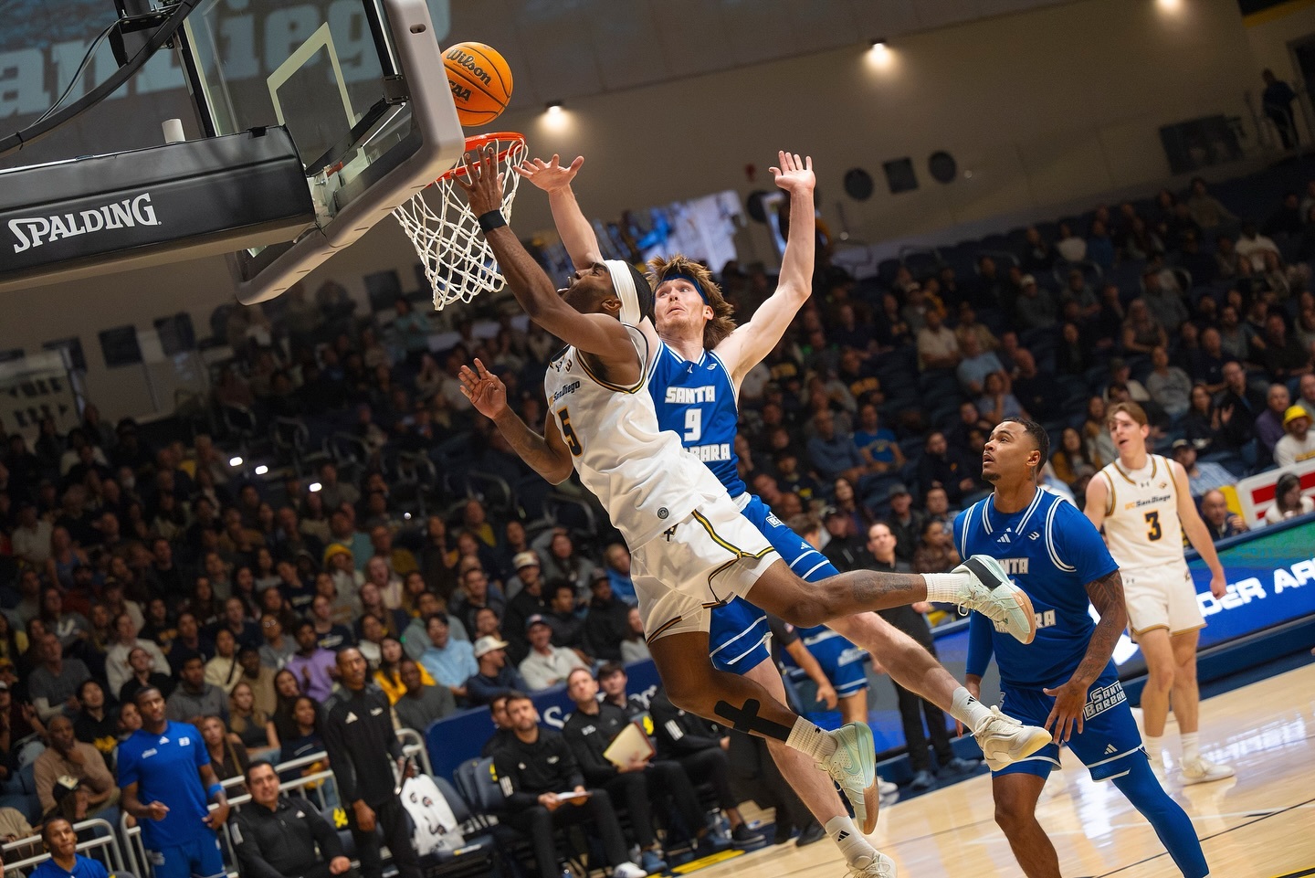 Triton Athletic Camps Of UC San Diego Mens Baske
