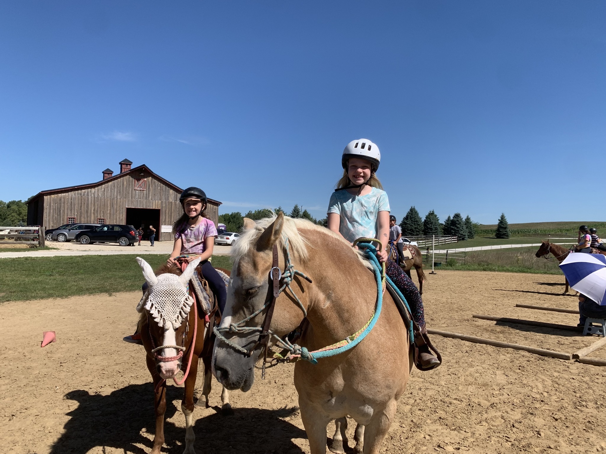 True Heart Equine's Horse Day Camp