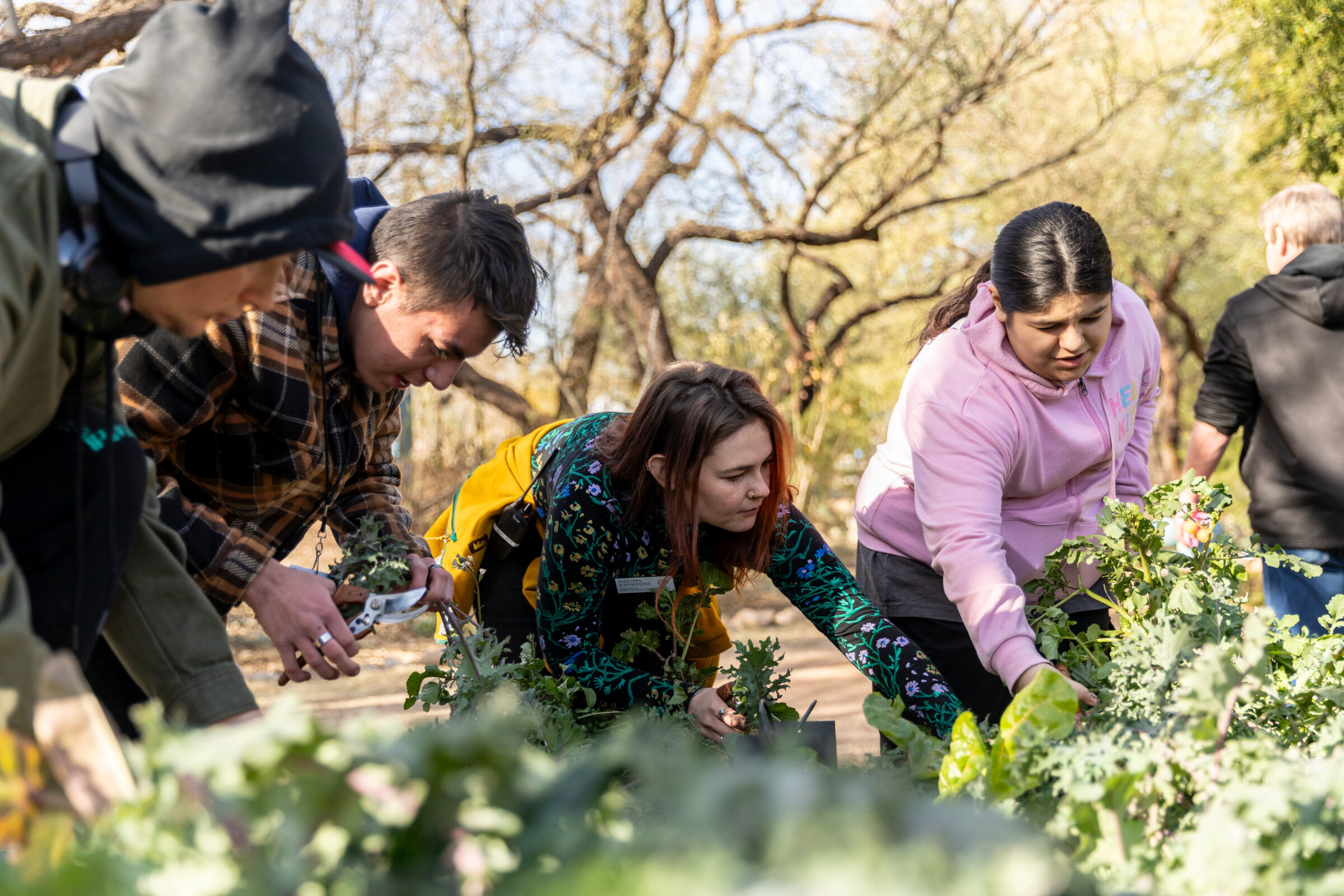 Tucson Botanical Gardens - Plant Science Investigators Camp