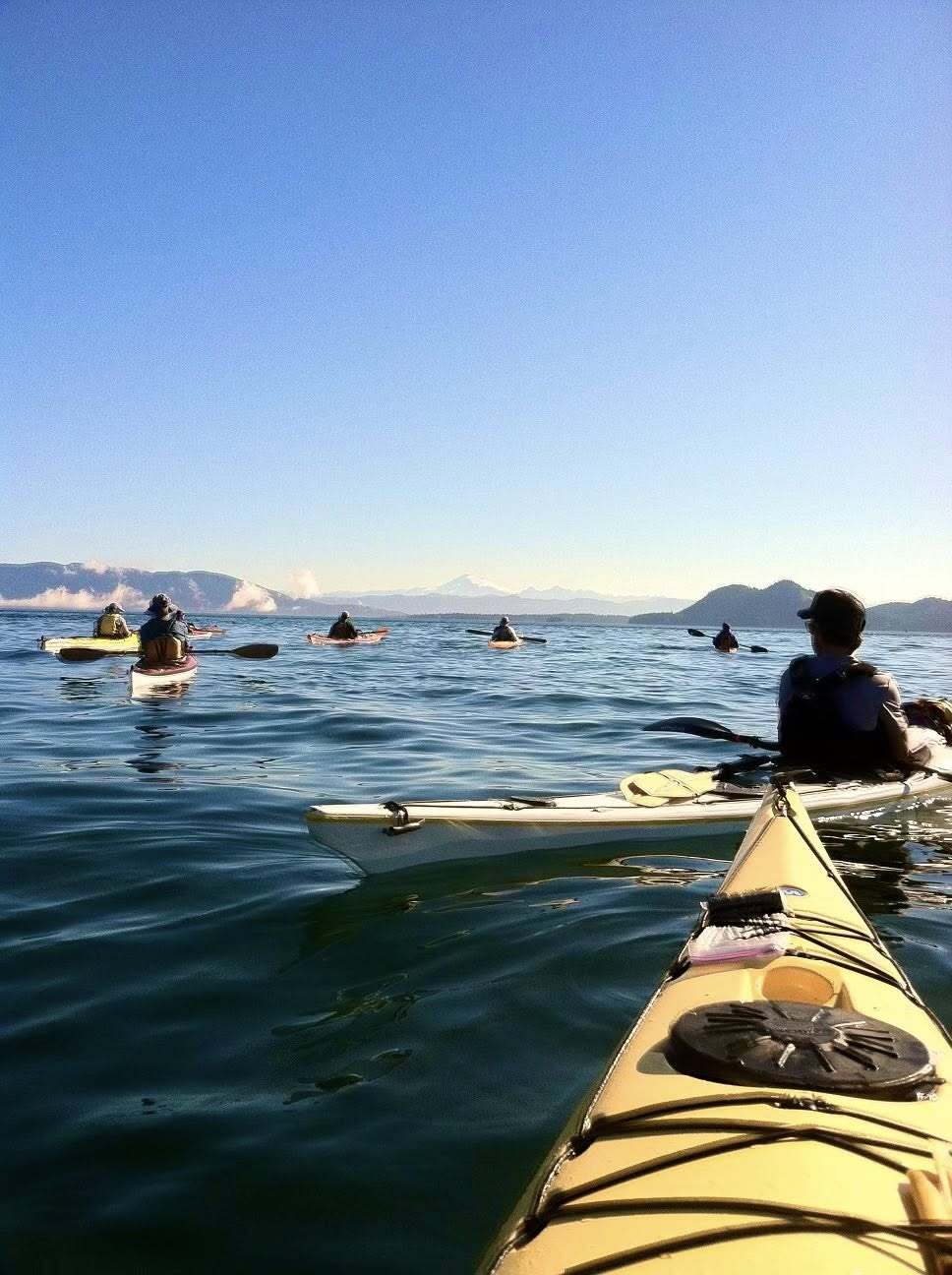 Trackers Earth-Sellwood Camps photo 1