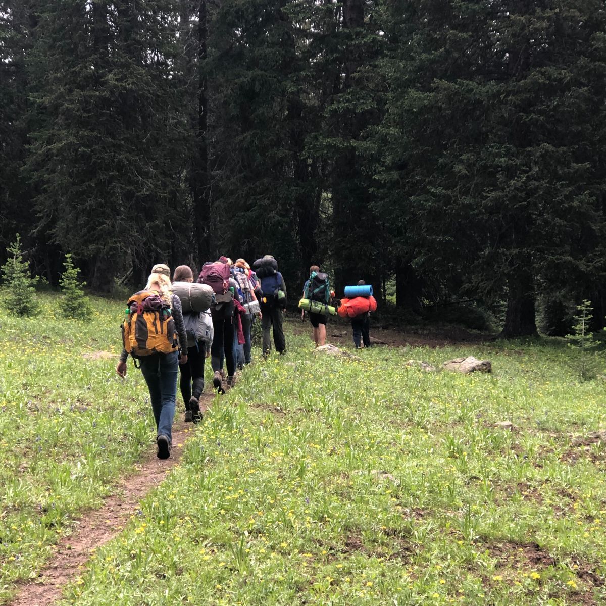 Twin Peaks Bible Camp photo 1