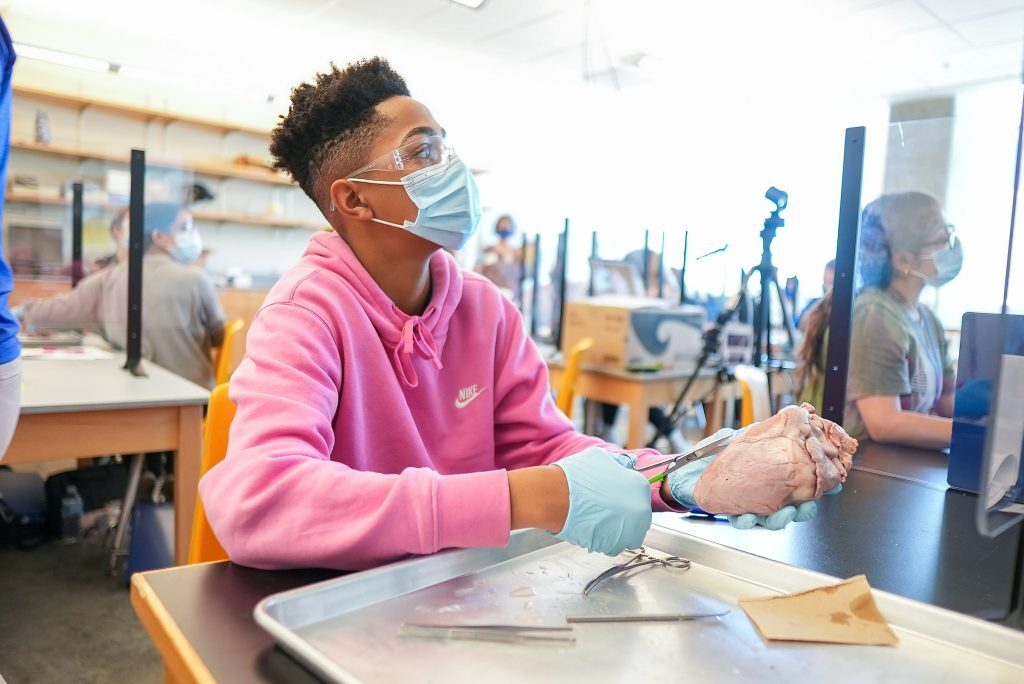 UNC Asheville Pre-College Program: Pre-Med