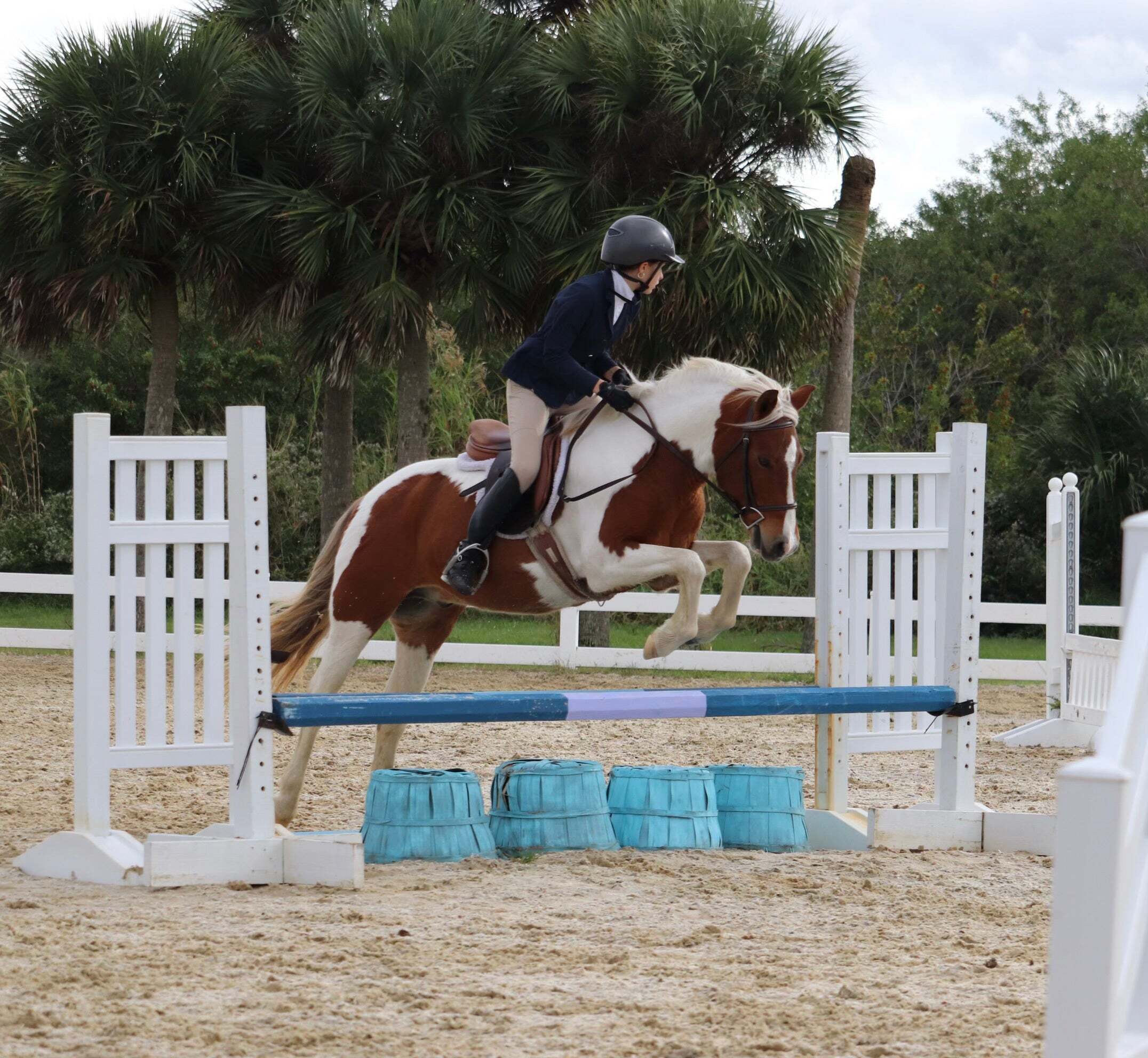 Vero Beach Equestrian Summer Camp photo 1