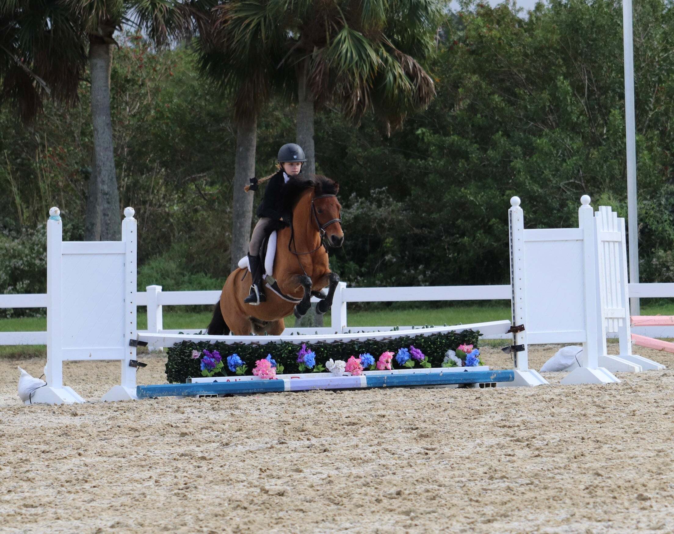 Vero Beach Equestrian Summer Camp
