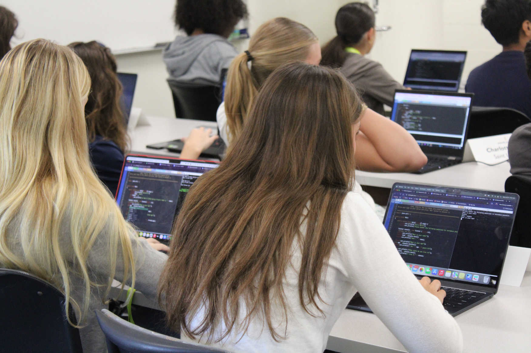 Wake Forest Summer Immersion: Coding and Computer photo 1