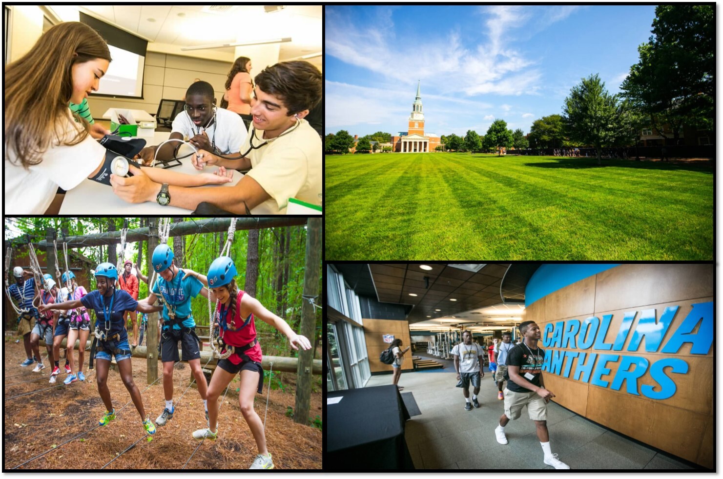 Wake Forest: Summer Immersion Program photo 1