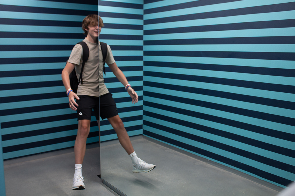 Wake Forest Summer Immersion: Psychology Institute