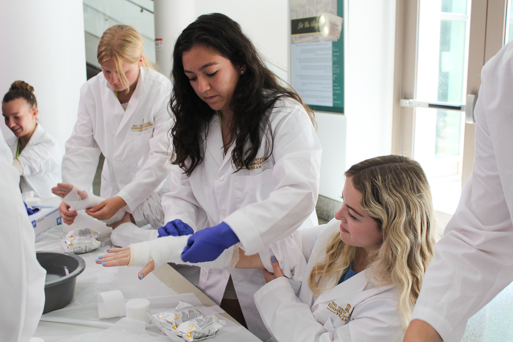 Wake Forest Summer Immersion: Sports Medicine Institute