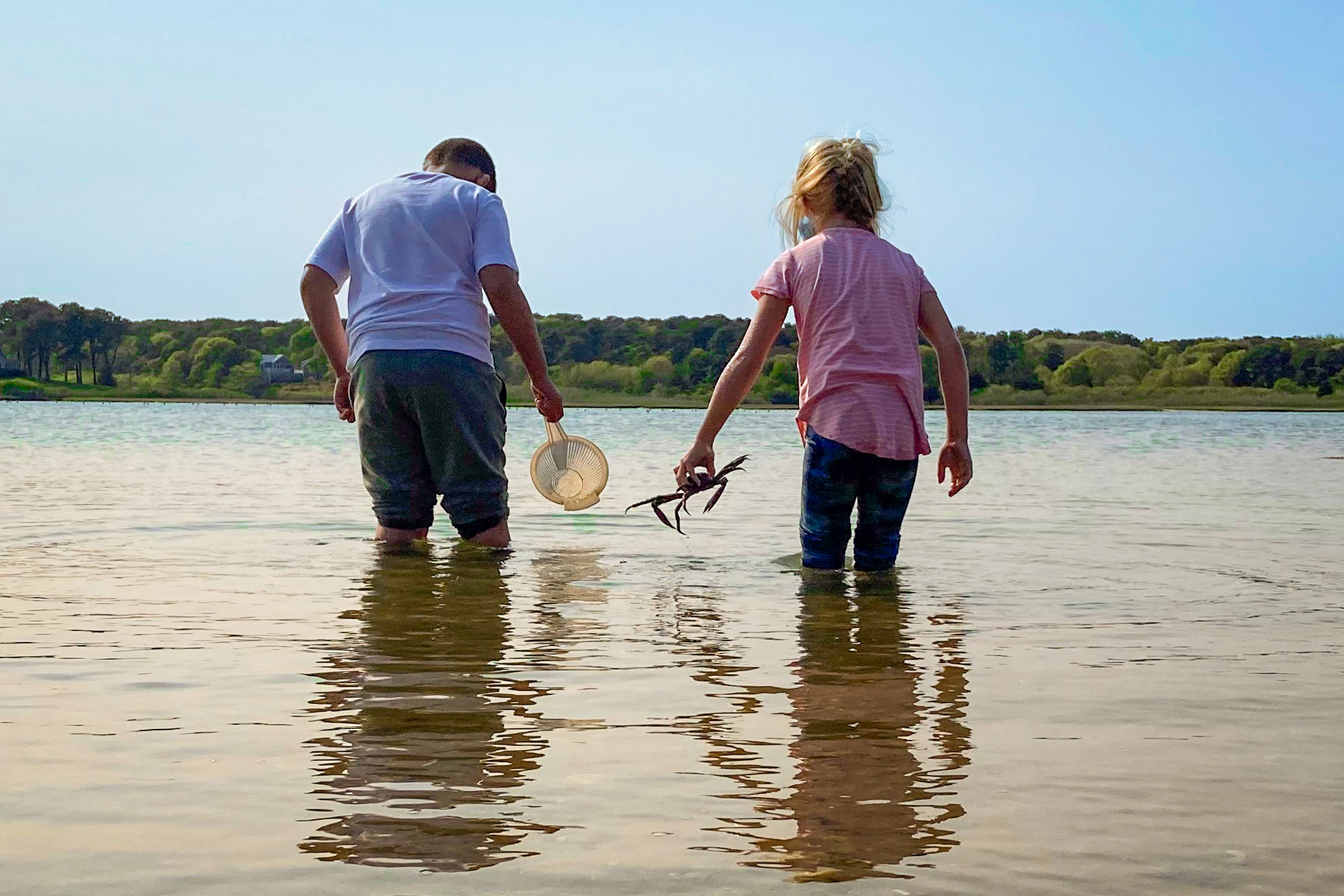 Wellfleet Bay Natural History Day Camp photo 1
