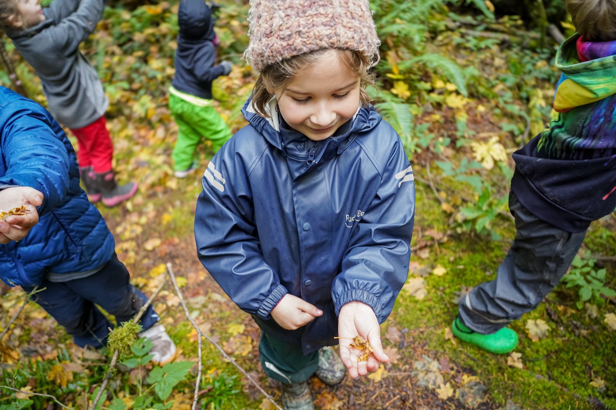 Wilderness Awareness School Camps
