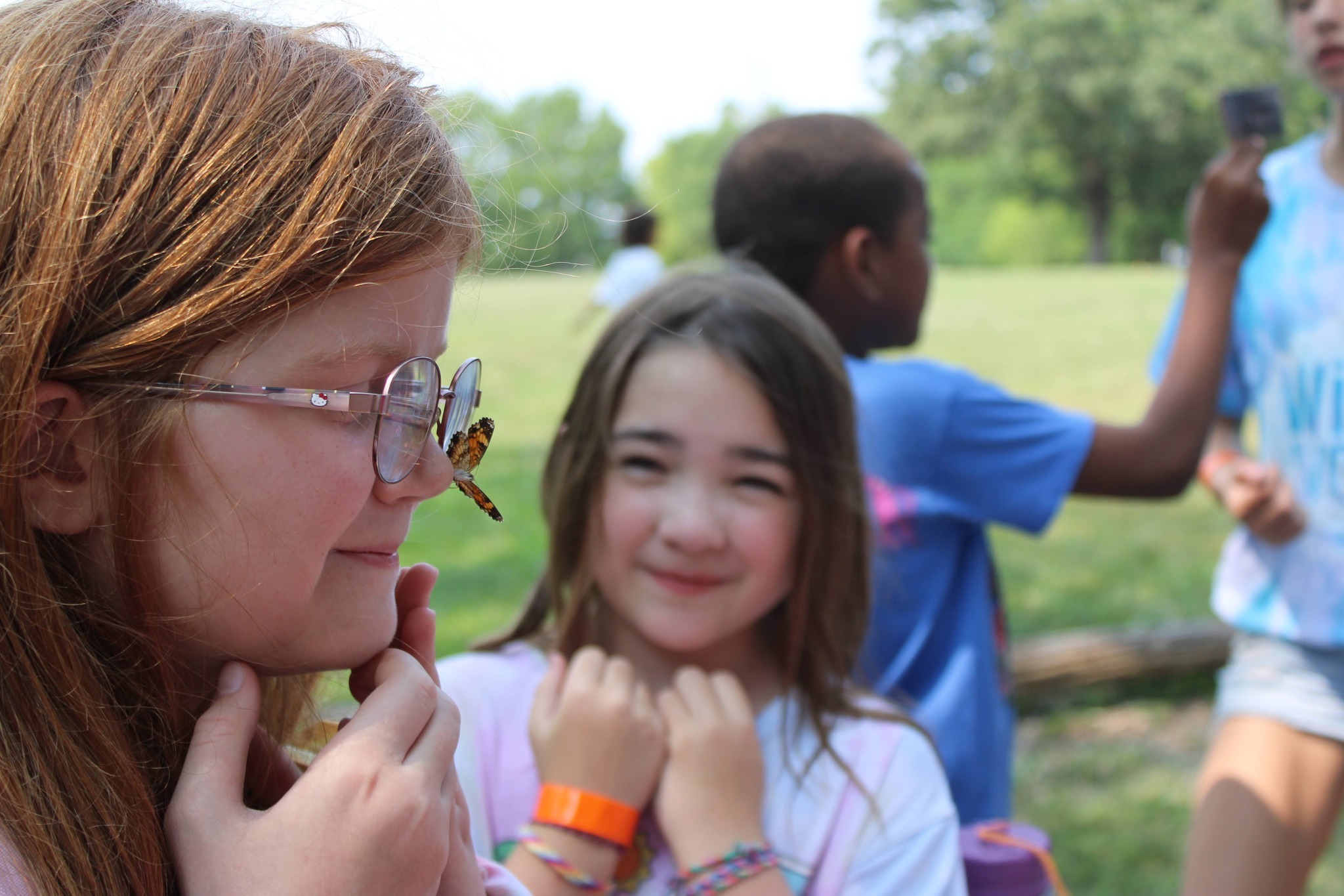 Wildwood Outdoor Education Center Camps