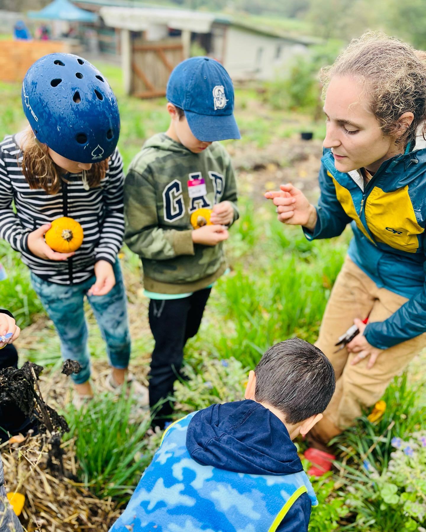Wildwood Ranch Day Camp photo 1