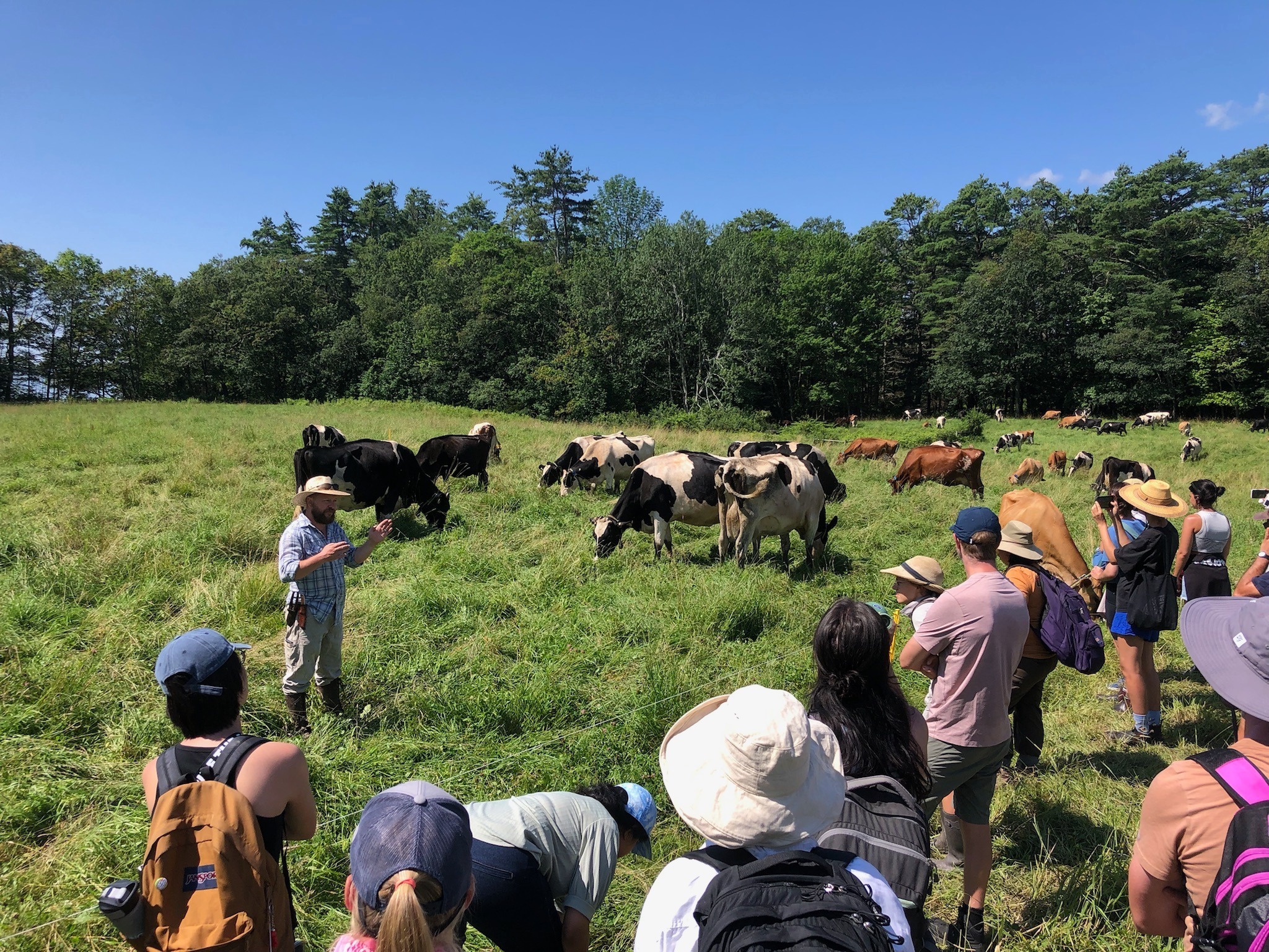 Wolfes Neck Farm Summer Day Camp