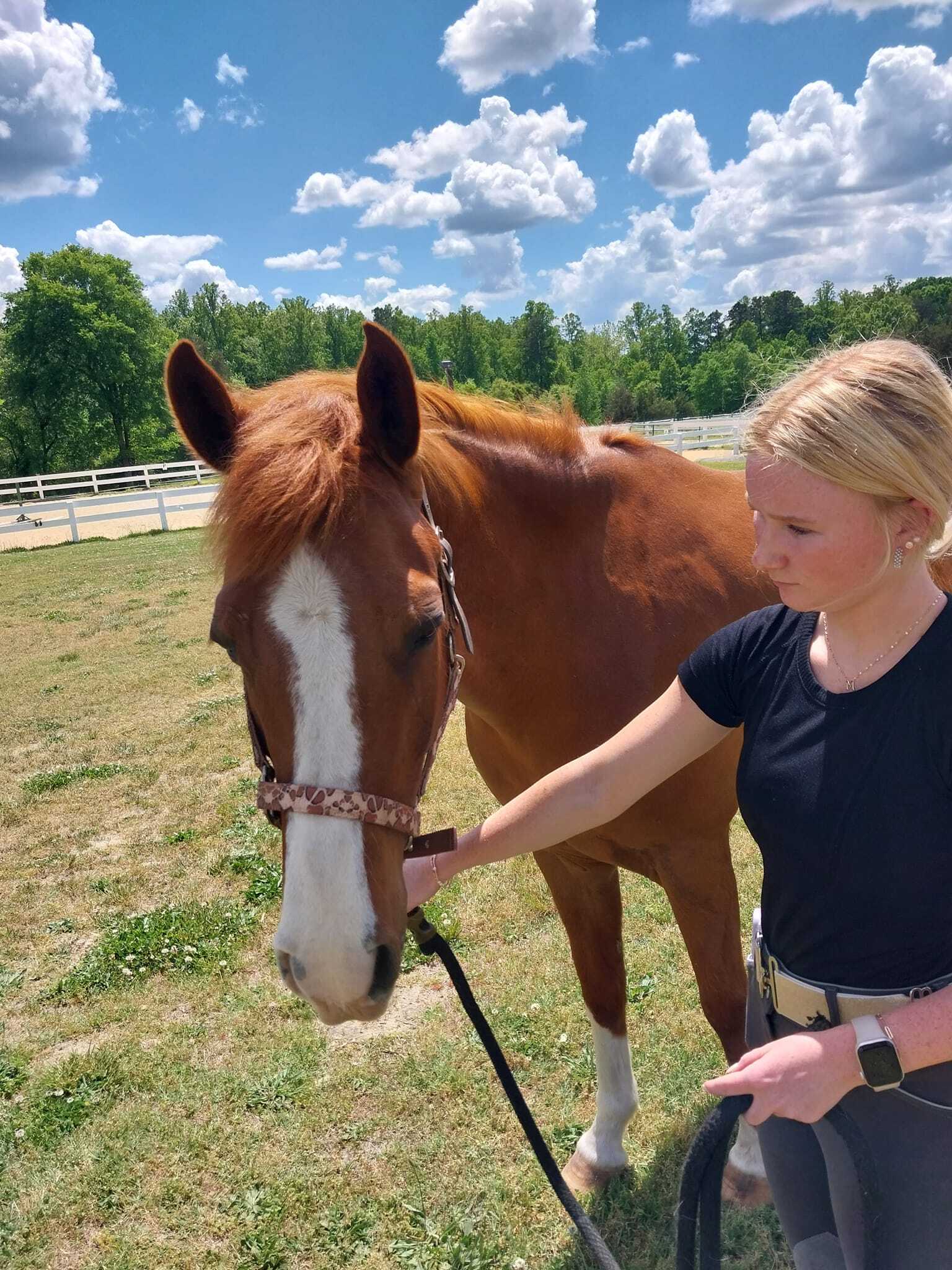 Yonahlossee Saddle Club photo 1