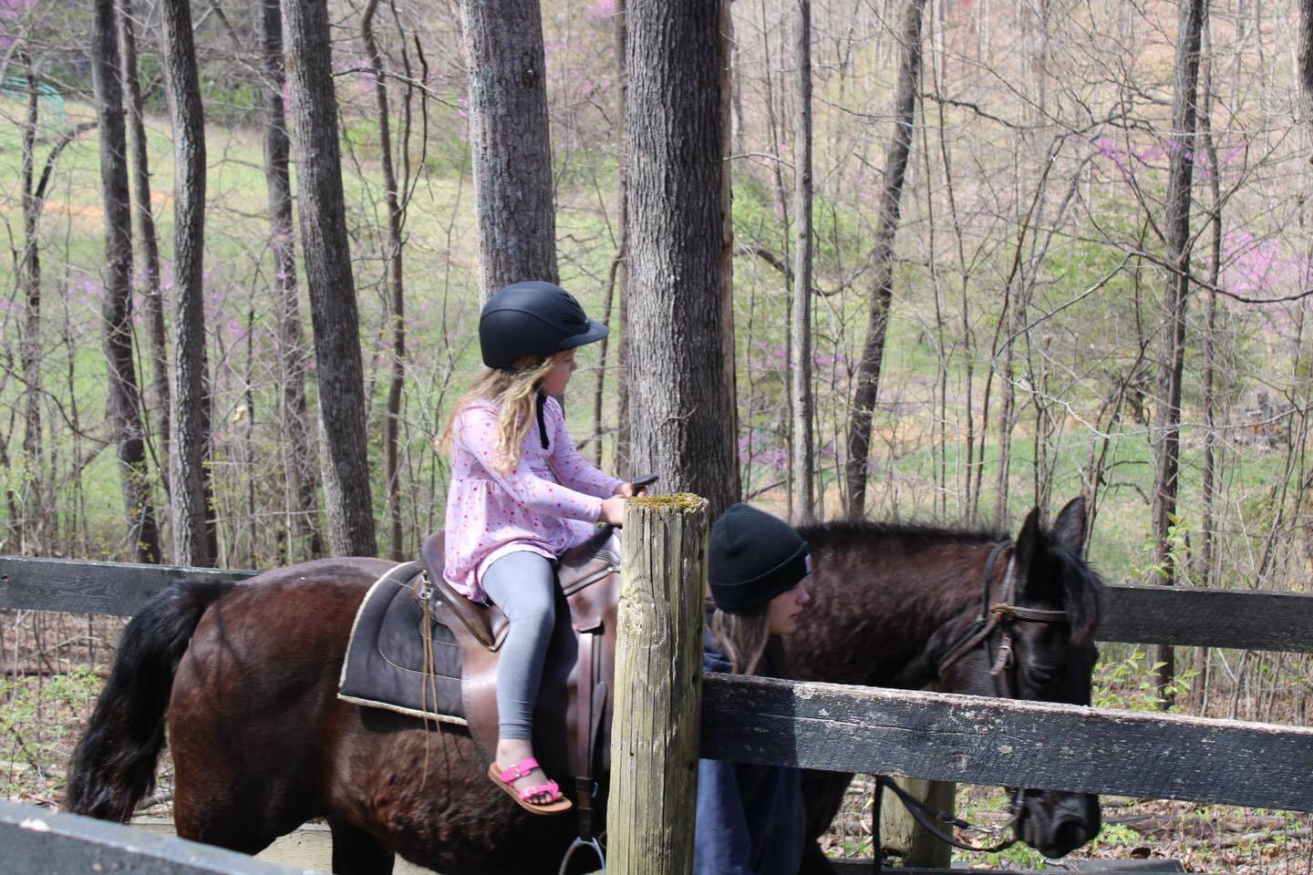 Youth Haven Bible Camp